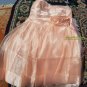 Dress Barn Collection Size 10 Organza Rosette Pleat Dress Polyester Blush OA3A01