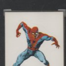 spider MAN