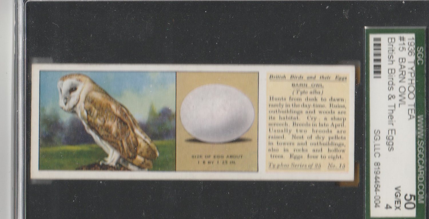 British Bird and their eggs