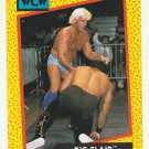 Ric Flair #38