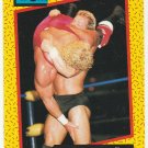 Lex Luger #16