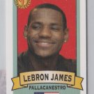 LEBRON JAMES #5 Italian Rookie Card