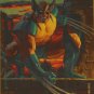 Wolverine  #9