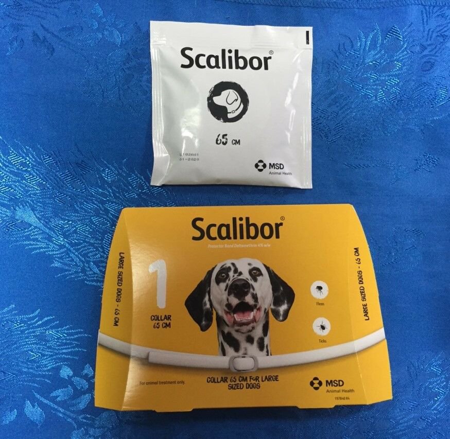 1X Scalibor Dog Collar 65cm Prevent Fleas Kill Ticks Protector 6 Months