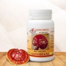 Gano Excel Ganoderma - 90 Capsules Per Bottle by Gano Excel FAST SHIP