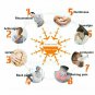 China Ancient Rheumatism Arthritis Sciatica Neck Back Muscle Pain Spray 80ml