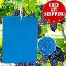 10/20/50 PCs Blue Sticky Fly Trap Paper Fungus Gnat Traps Non-Toxic Odorless