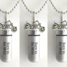 Set of 5  "Born To Be Wild" Motorcycle CREMATION URNS w/Pouches, Chains, Funnel