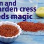 Organic Herbal Garden Cress Seeds Seed Lepidium Sativum Halim ( 400gm / 14oz ) ØØ¨ الرشاد