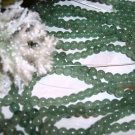 AVENTURINE (green) Beads 4MM Beads 16" strand