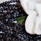 SNOW OBSIDIAN 4mm Round Beads 16" strand