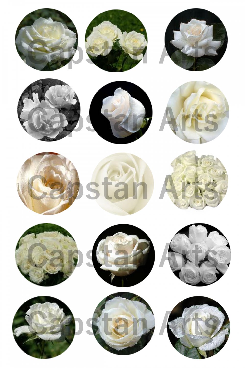 White Roses 1" Bottle Cap Images 4x6 Digital sheet only