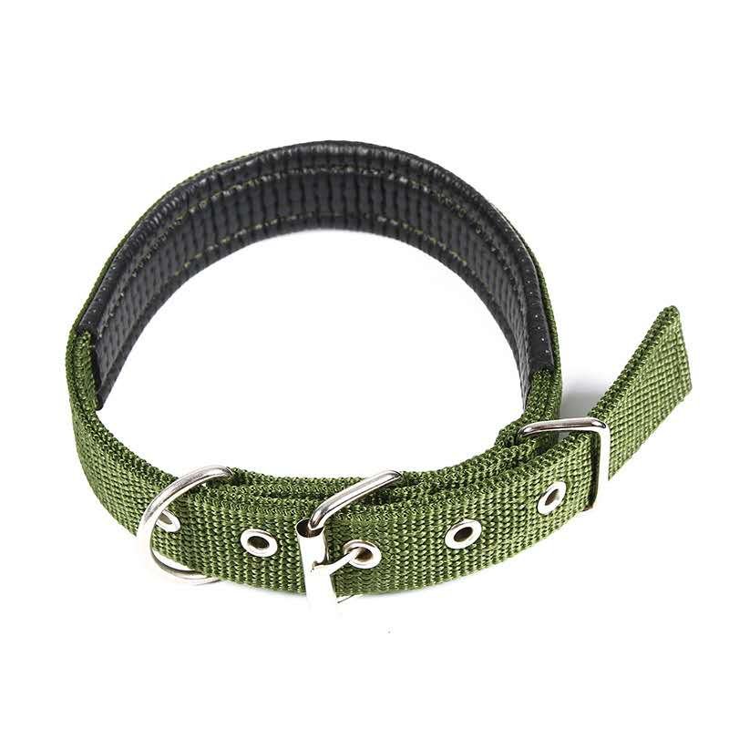 Nylon Adjustable Dog Collar for Dog training&atilde;��   green