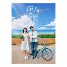 Summer Again (2021) Chinese Drama