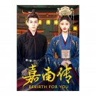 Rebirth For You (2021) Chinese Drama