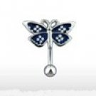 BUTTERFLY,BLUE TOP DOWN