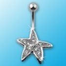 SILVER STAR FISH