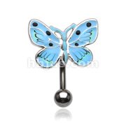 BUTTERFLY,AQUA TOP DOWN