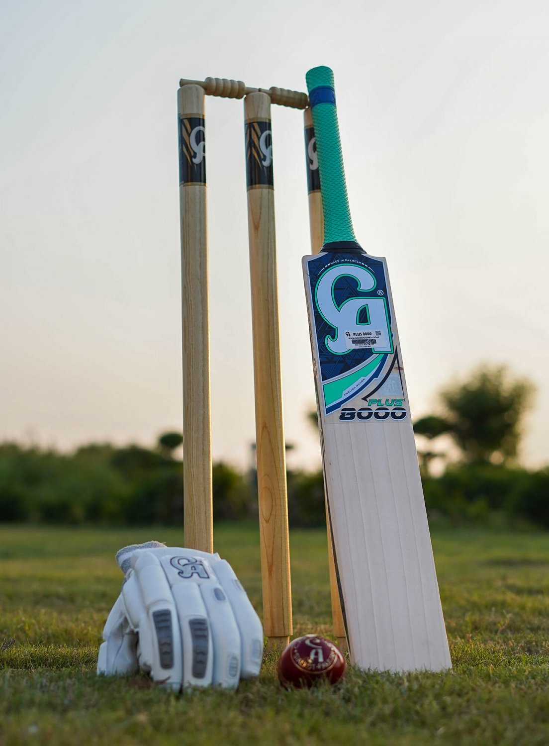CA PLUS 8000 HARD BALL BAT CRICKET HARD BALL BAT Training Bat BRAND