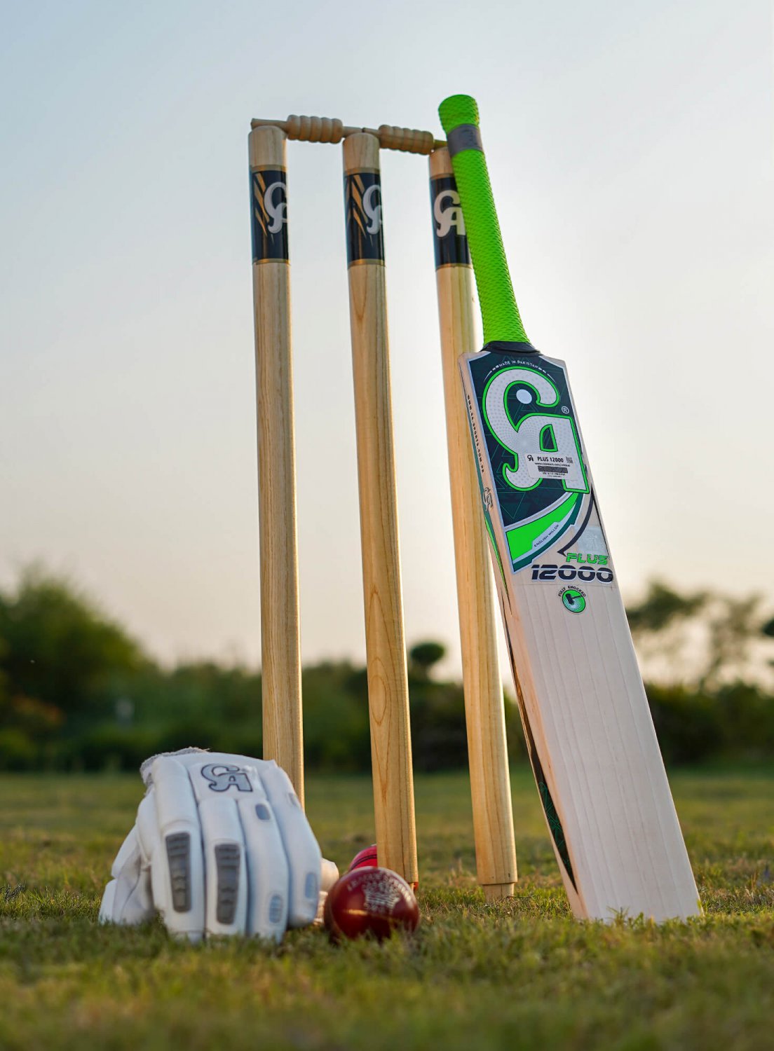 CA PLUS 12000 HARD BALL BAT CRICKET HARD BALL BAT Training Bat