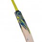 Cricket Bat CA PLUS 3000 Handcrafted English Willow of Grade 3 Wooden Bat