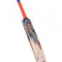 Cricket Bat CA PLUS 2000 Handcrafted English Willow of Grade 3 Wooden Bat