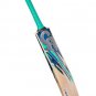 Cricket Bat CA PLUS 8000 Made of Clean Grain English Willow Pre-Knocked Wood Bat