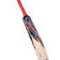 Cricket Bat CA PLUS 5000 Handcrafted English Willow of Grade 3 Wooden Bat