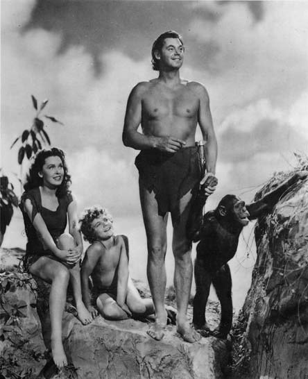 Tarzan DVD Complete 12 Movies on with Johnny Weissmuller