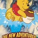 The New Adventures of Winnie The Pooh DVD Complete Series Disneyland Disneyworld Mickey Mouse