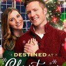 Destined At Christmas DVD 2022 Great American Family Movie