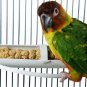 FeatherSmart Horizontal Millet Holder