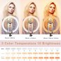 LED Ring Light 10" with Tripod Stand & Phone Holder for Live Streaming