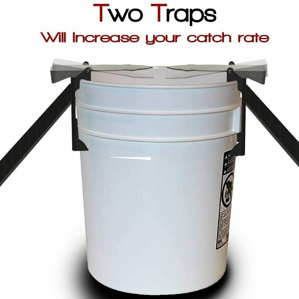 RinneTraps Walk The Plank Mouse Trap, 2 Pack - Bucket Mouse Trap | 2 ...