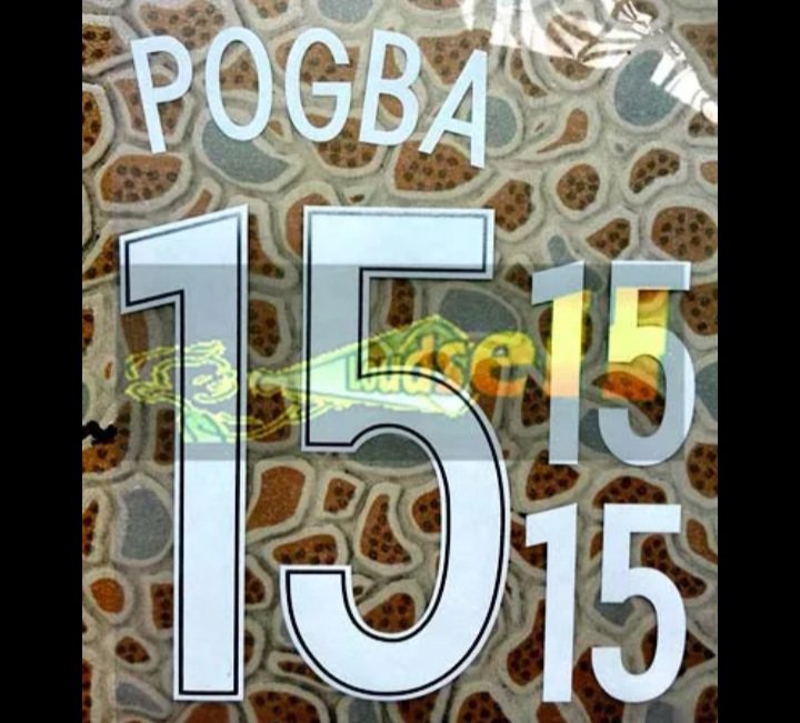 FRANCE 2016-17 Home Nameset Martial Gignac Varane Griezmann Cabaye Giroud Matuidi Valbuena Payet