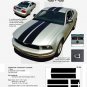 Ford Mustang 2005 2006 2007 2008 2009 "WILDSTANG" Racing and Rally Stripes Kit