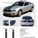 Ford Mustang 2010 2011 2012 "WILDSTANG 10" Racing and Rally Stripes Kit