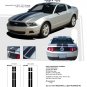 Ford Mustang 2010 2011 2012 "WILDSTANG 10" Racing and Rally Stripes Kit