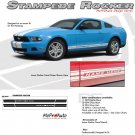 Ford Mustang Factory OEM Style Rocker Panel Stripe and Graphics Kit