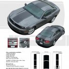 Ford Mustang 2010 2011 2012 "PONY CENTER STRIPE" Racing and Rally Stripes Kit