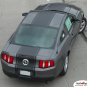 Ford Mustang 2010 2011 2012 "PONY CENTER STRIPE" Racing and Rally Stripes Kit