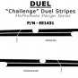 DUAL : Vinyl Graphics and Stripe Kit 2008 2009 2010 2011 2012 2013 Dodge Challenger