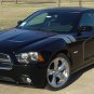 DOUBLE BAR : Vinyl Graphics Kit for 2011 2012 2013 2014 Dodge Charger