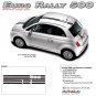EURO RALLY : 2011 2012 2013 Fiat 500 Vinyl Graphics Kit