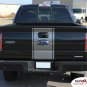 CENTER STRIPE : Ford F-150 Racing Stripes Vinyl Graphics Decals 2009 2010 2011 2012 2013 Models