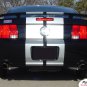 Mustang WILDSTANG S-500 : Vinyl Racing Stripe Kit for 2005-2009 Ford Mustang GT