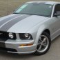 Mustang WILDSTANG S-500 : Vinyl Racing Stripe Kit for 2005-2009 Ford Mustang GT