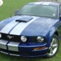 Mustang WILDSTANG S-500 : Vinyl Racing Stripe Kit for 2005-2009 Ford Mustang GT