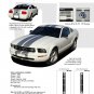 Mustang WILDSTANG S-V61 : Vinyl Racing Stripe Kit for 2005-2009 Ford Mustang V6