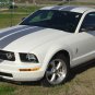 Mustang WILDSTANG S-V61 : Vinyl Racing Stripe Kit for 2005-2009 Ford Mustang V6